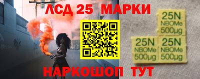 шишки Абакан
