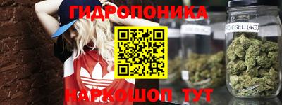 сатива Азнакаево