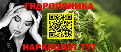 шишки Абакан