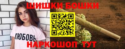 шишки Абакан