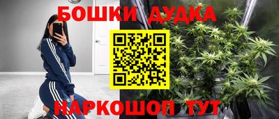 шишки Абакан