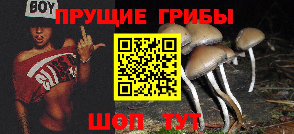 Псилоцибиновые грибы Cubensis  Вход с VPN  Александров  Галлюциногенные грибы мухоморы 