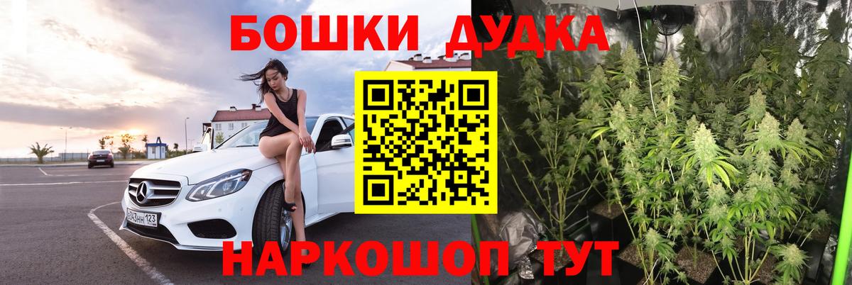 Марихуана Bruce Banner  Бошки марихуана планчик  Александров  Вход с VPN  Бошки Шишки THC 21%  МАРИХУАНА ГИДРОПОН 